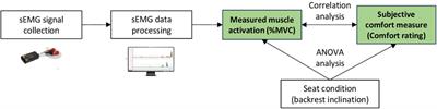 The role of muscle forces in neck comfort for static seating: a pilot study